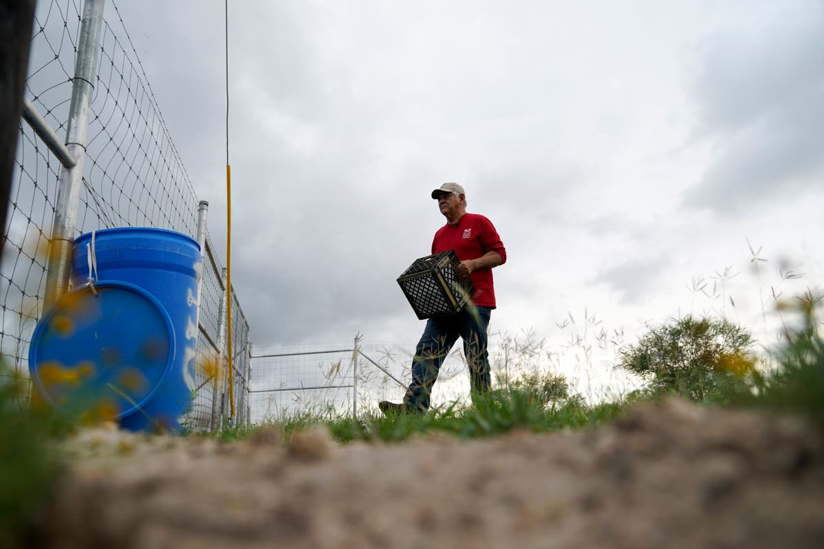 With more border crossers, US groups seek to stem deaths