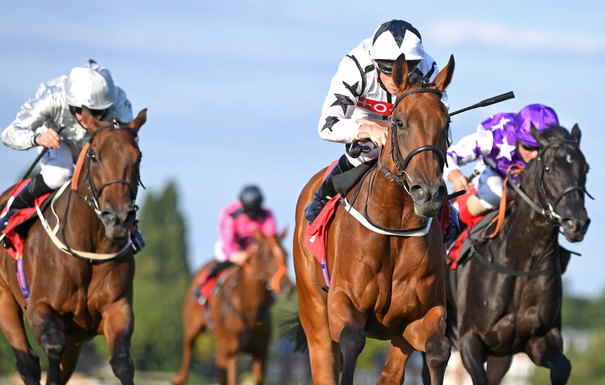 Fev Rover tries again for Classic honours at the Curragh