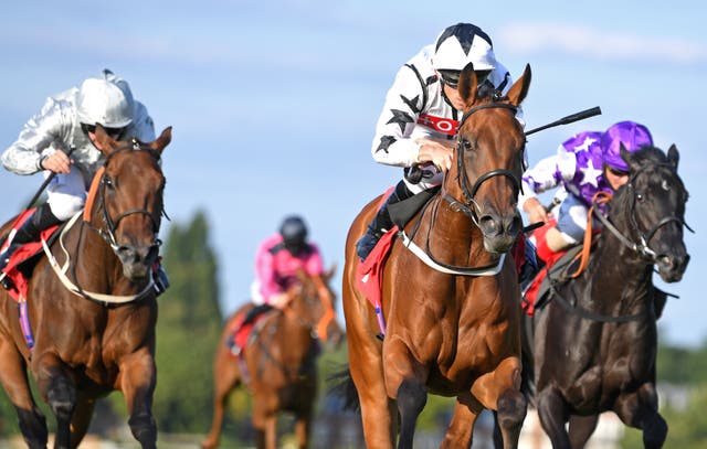 Fev Rover (centre) winning at Sandown last season