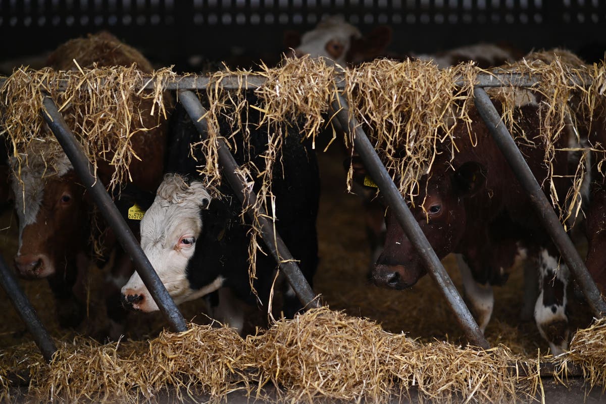 Farmers have a right to know where the government&rsquo;s priorities really lie