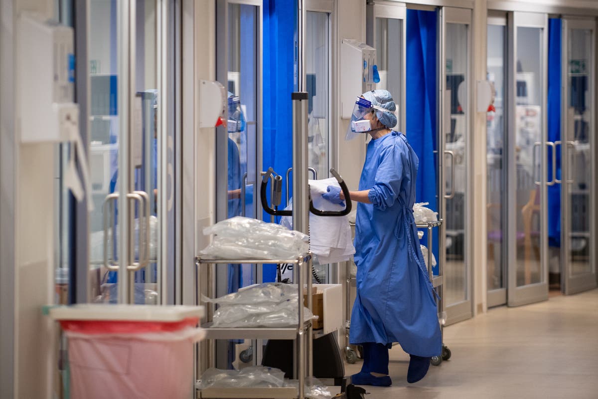 ‘Pandemic is over’ if new Covid variants are not increasing hospital admissions, vaccines expert says