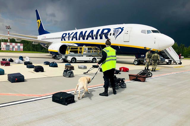 <p>A Belarusian dog handler checks luggages off a Ryanair Boeing 737-8AS in Minsk</p>