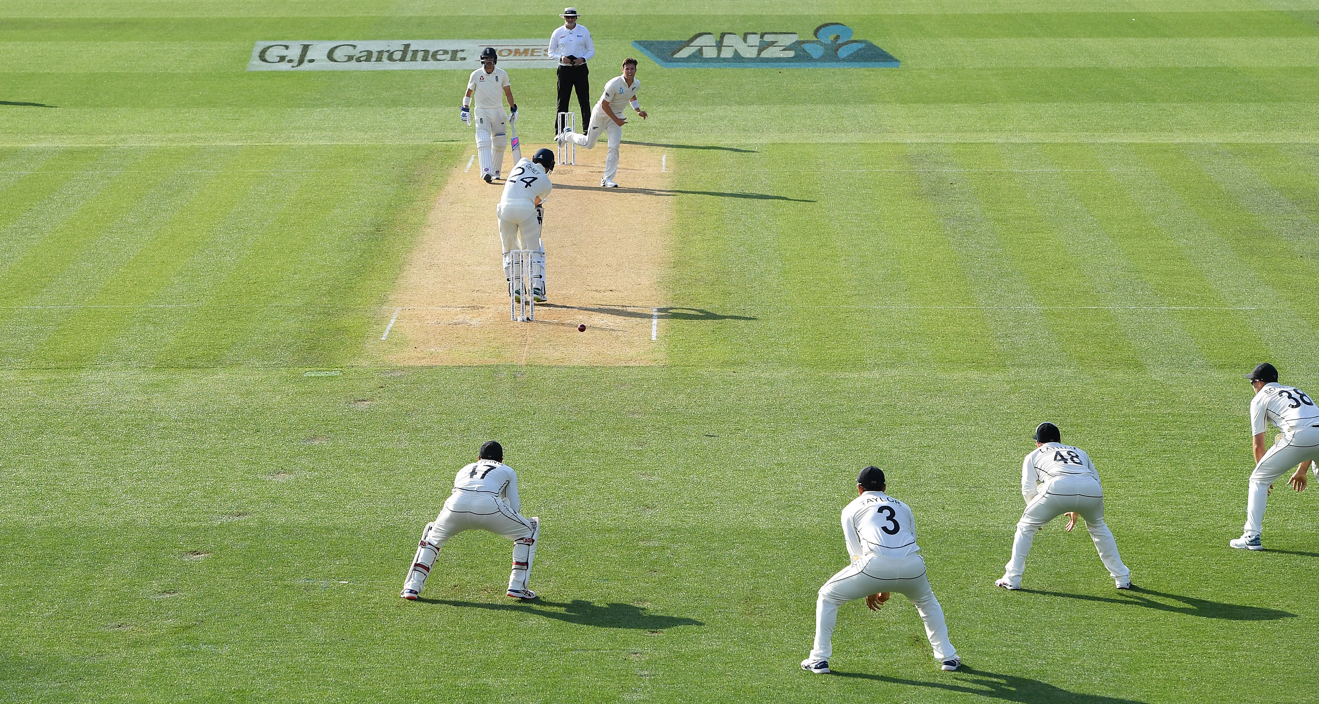 New Zealand hosting England in November