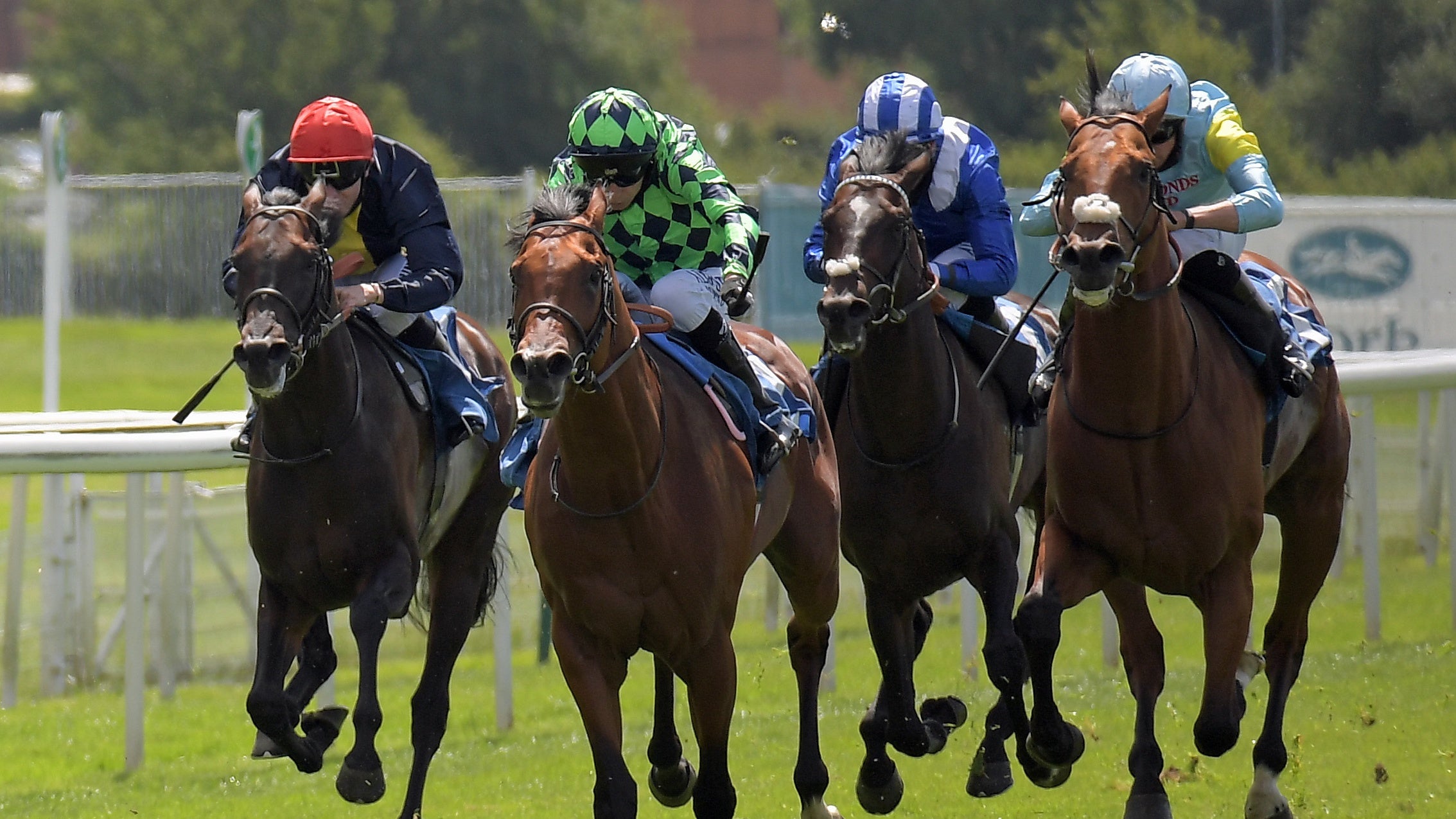 Brentford Hope (left) could be heading to Redcar for the Zetland Gold Cup