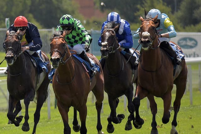Brentford Hope (left) could be heading to Redcar for the Zetland Gold Cup