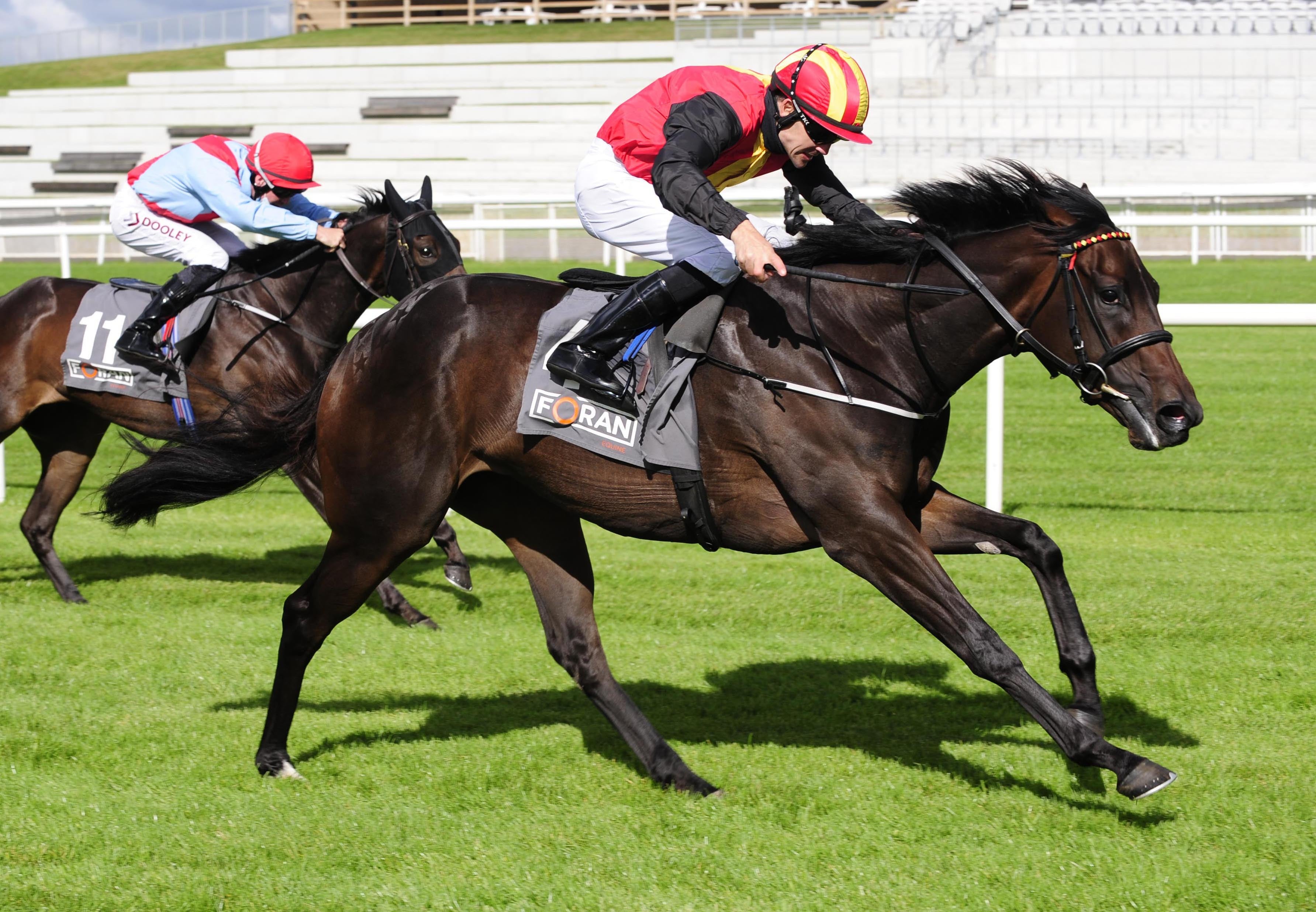 Belle Image winning at the Curragh last year