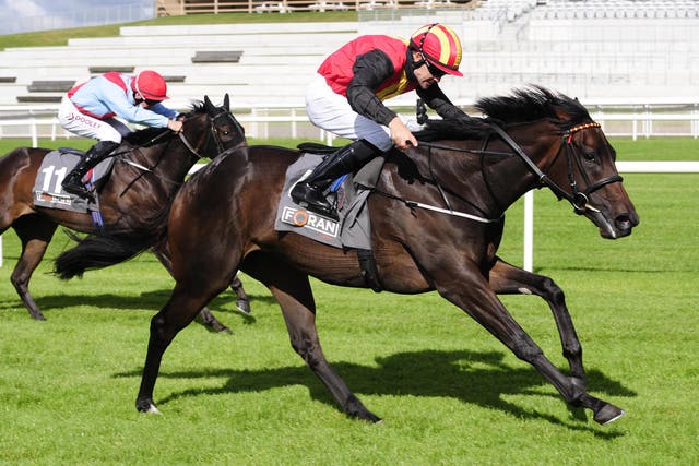 Belle Image winning at the Curragh last year
