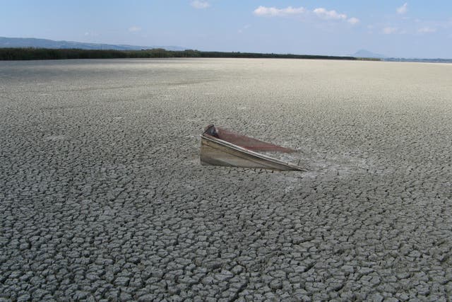 Lake Volvi in Greece temporarily dries up as a consequence of excessive irrigation for agriculture paired with climate change – one of many examples of a freshwater system under human impact