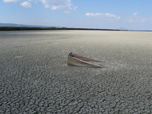 Lake Volvi in Greece temporarily dries up as a consequence of excessive irrigation for agriculture paired with climate change – one of many examples of a freshwater system under human impact