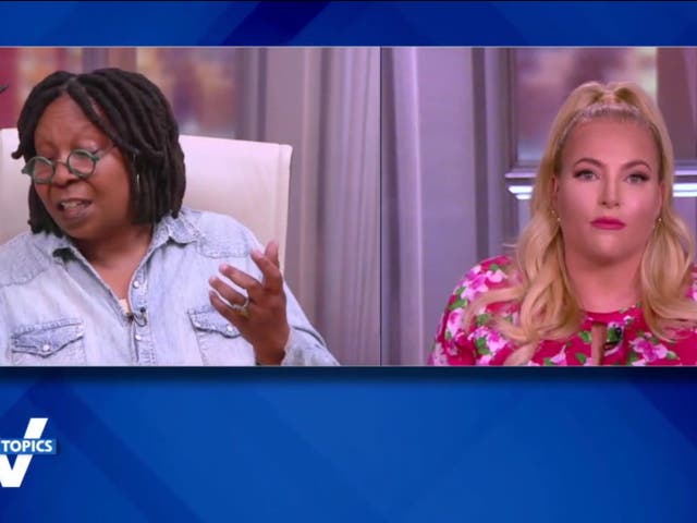 <p>Co-hosts of The View, Whoopi Goldberg and Meghan McCain</p>