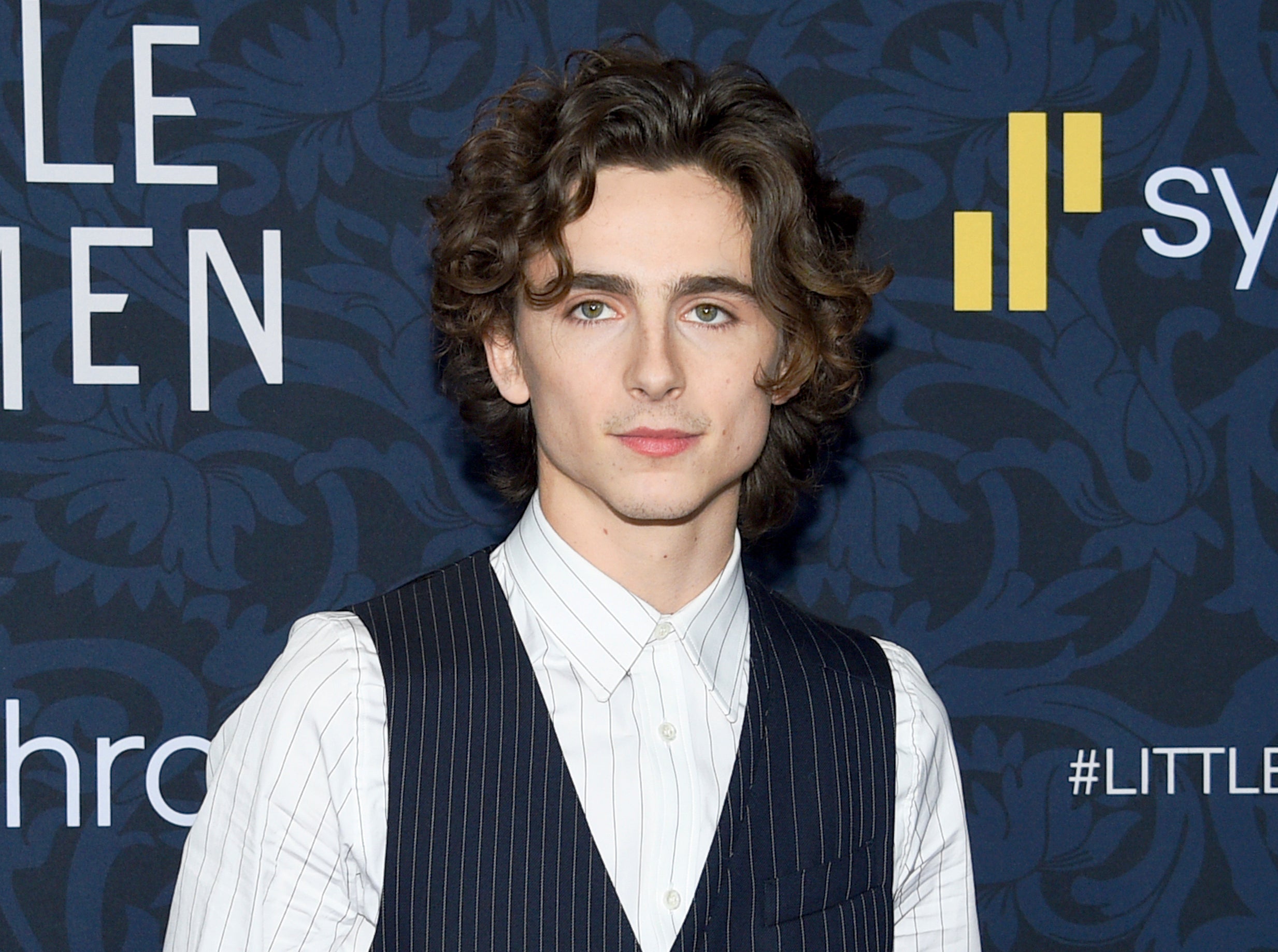 WILLY WONKA-TIMOTHEE CHALAMET