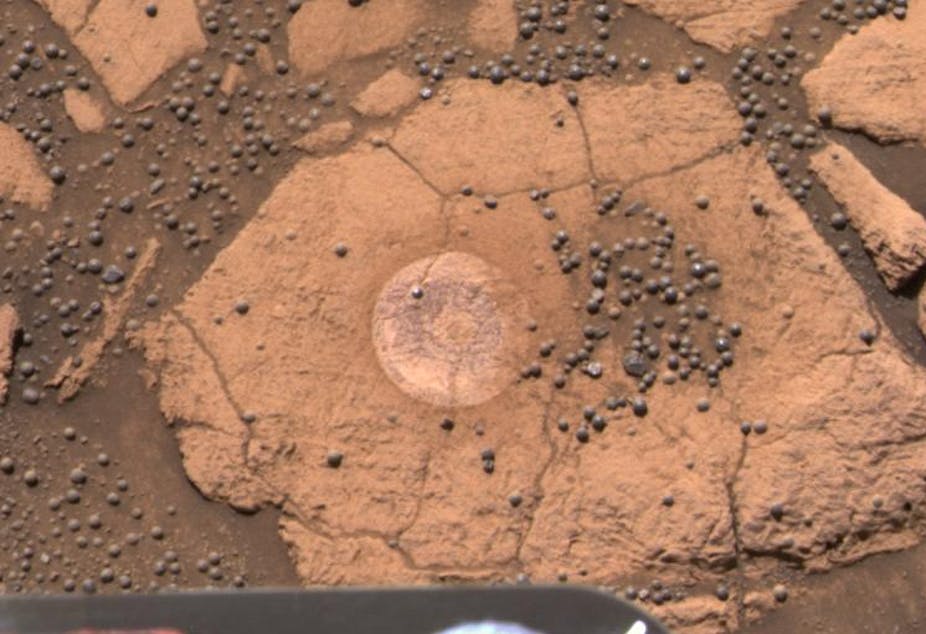 Mushroom life on Mars may be too good to be true