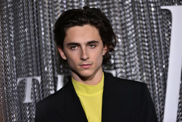 Timothee Chalamet