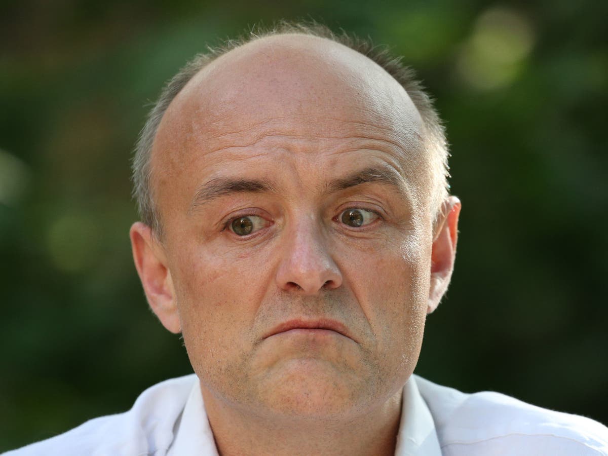 Cummings once advertised for &lsquo;weirdos and misfits&rsquo; to join him &ndash; now we see why