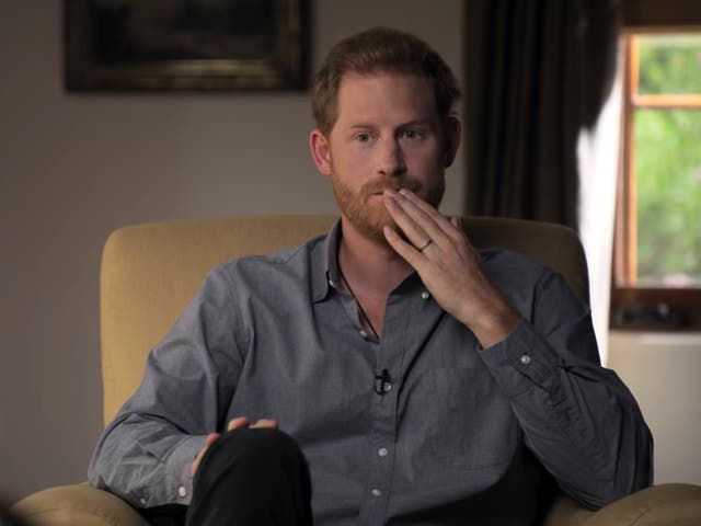 <p>Prince Harry in 'The Me You Can’t See’</p>