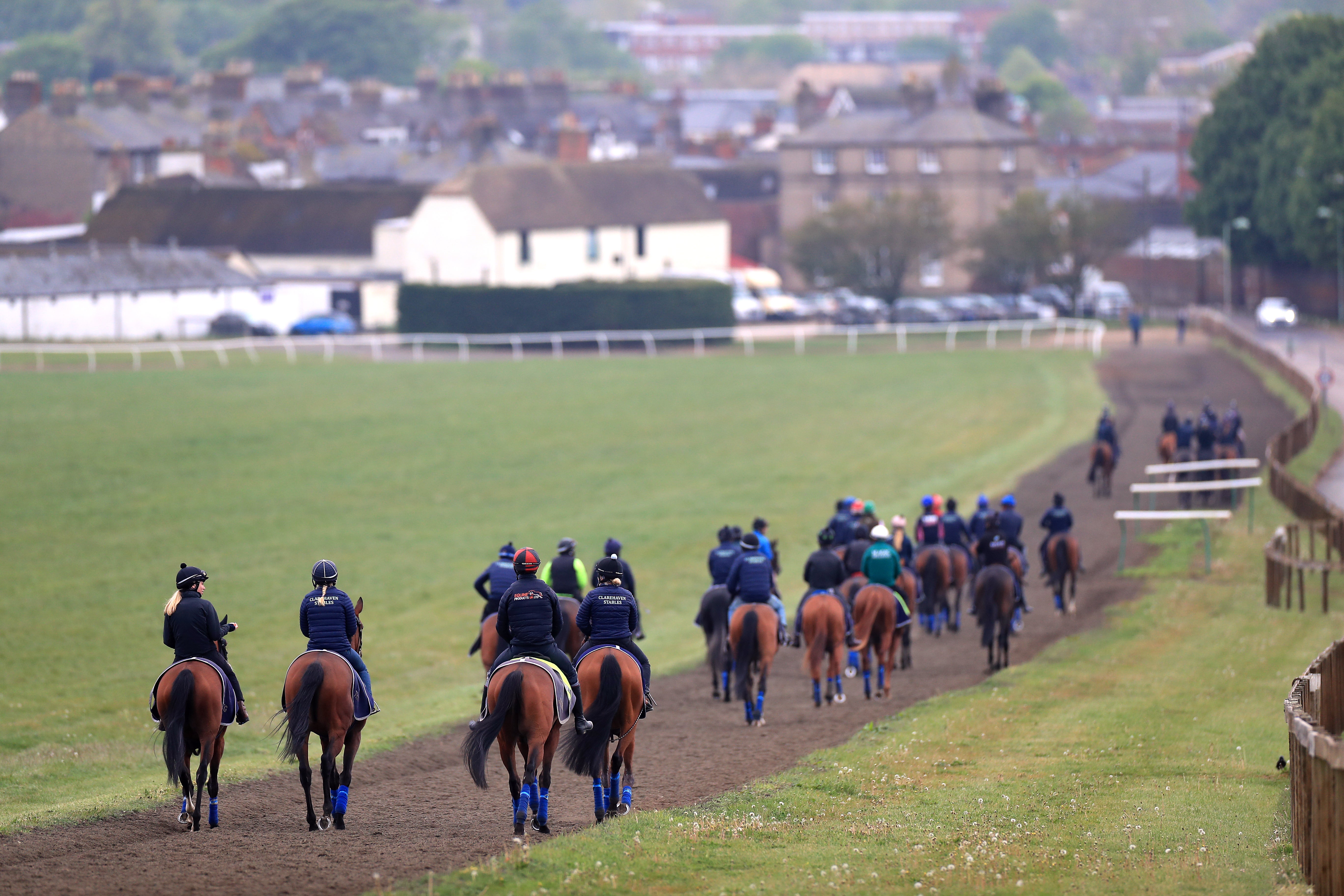 Horses on the gallops at Newmarket