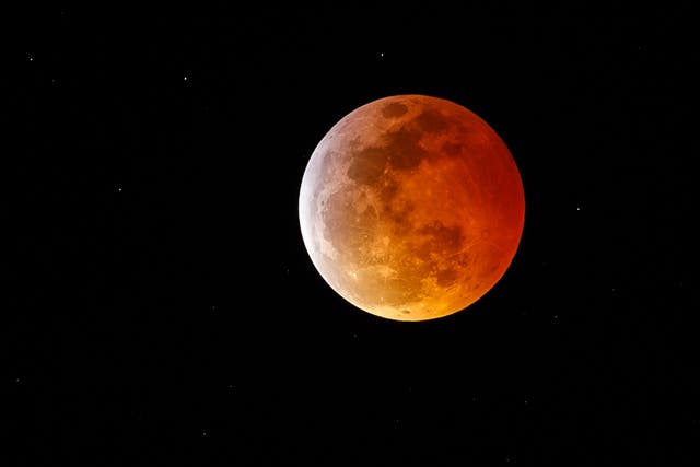 <p>A Super Blood Wolf Moon is seen during a total lunar eclipse on January 20, 2019 in Marina Del Rey, California. </p>