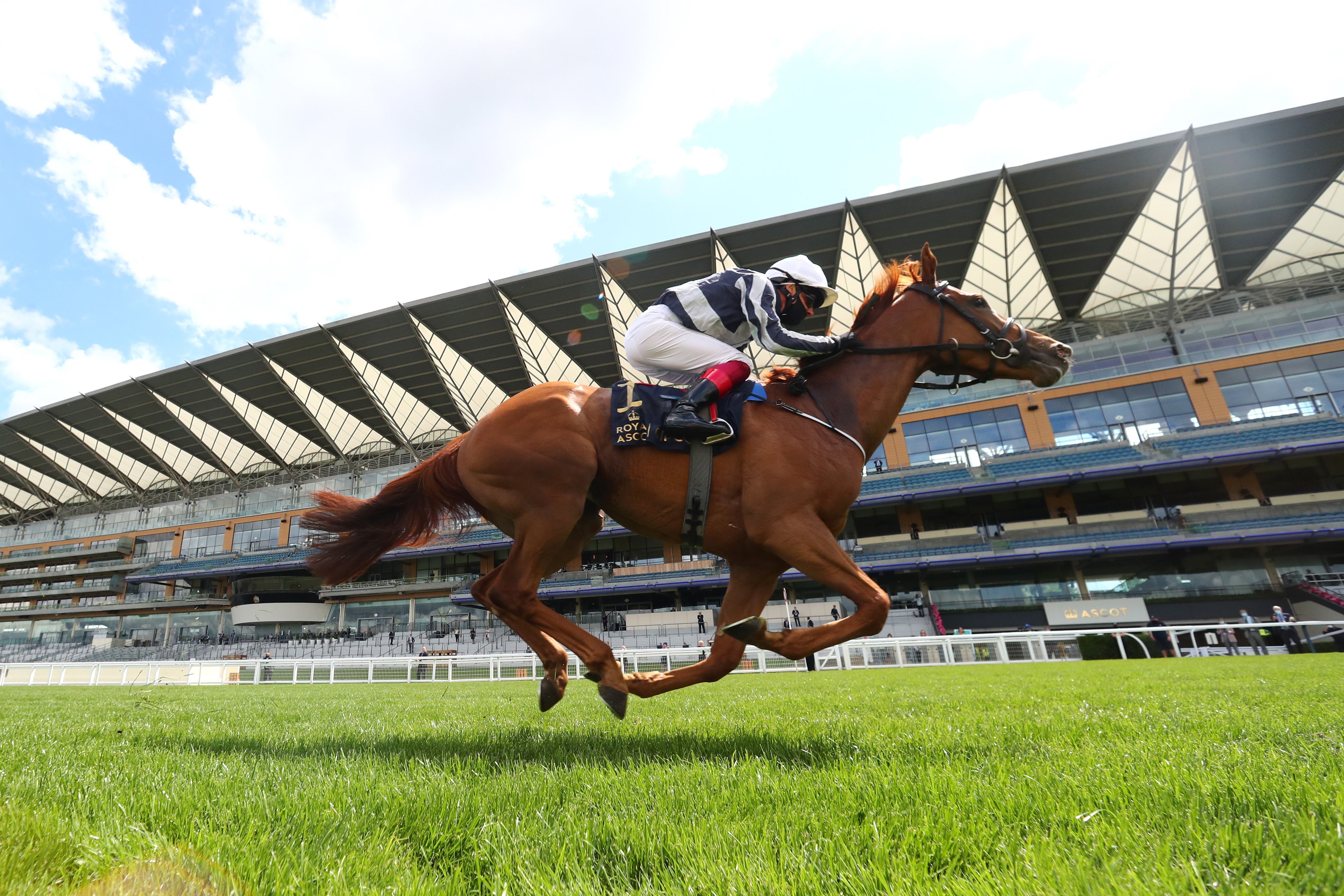 Royal Ascot will take place - with a crowd of 12,000 back this year - from June 15-19