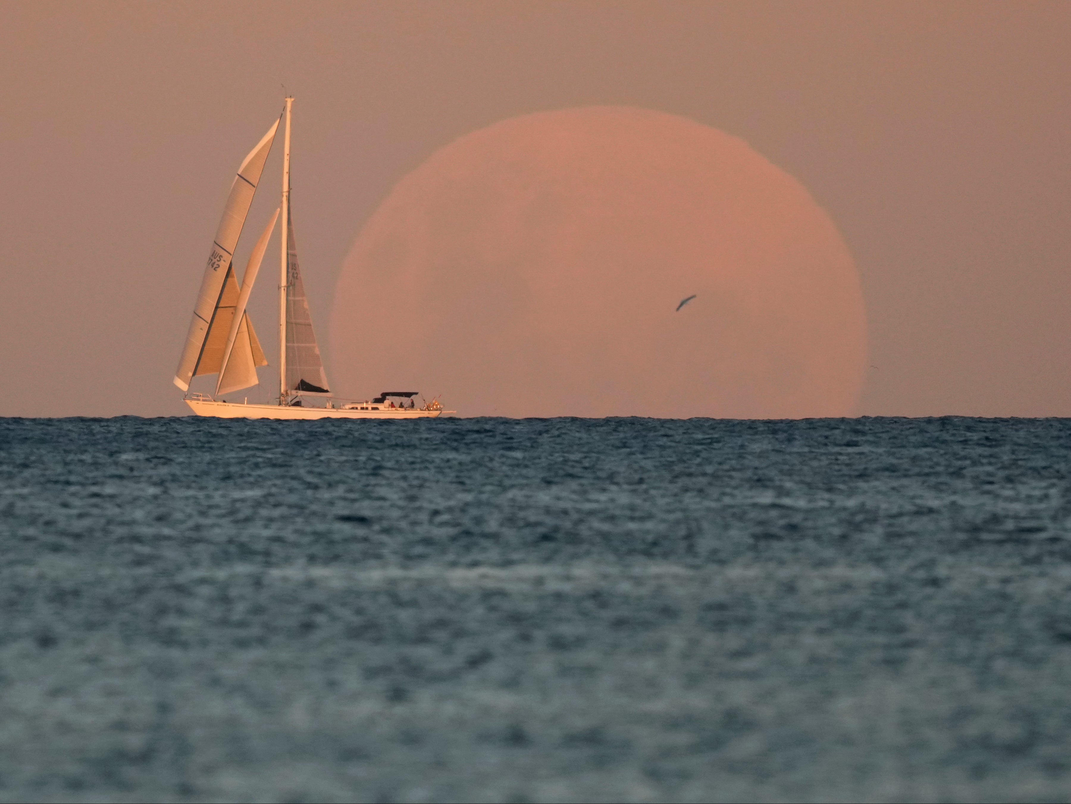 A yacht sails on the horizon as the moon rises in Sydney on Wednesday 26 May 2021