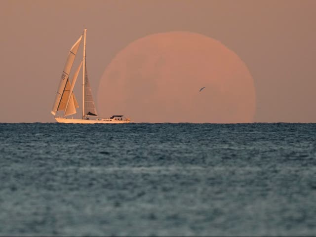 <p>The point at which the sea of dubious metaphors meets the sky</p>