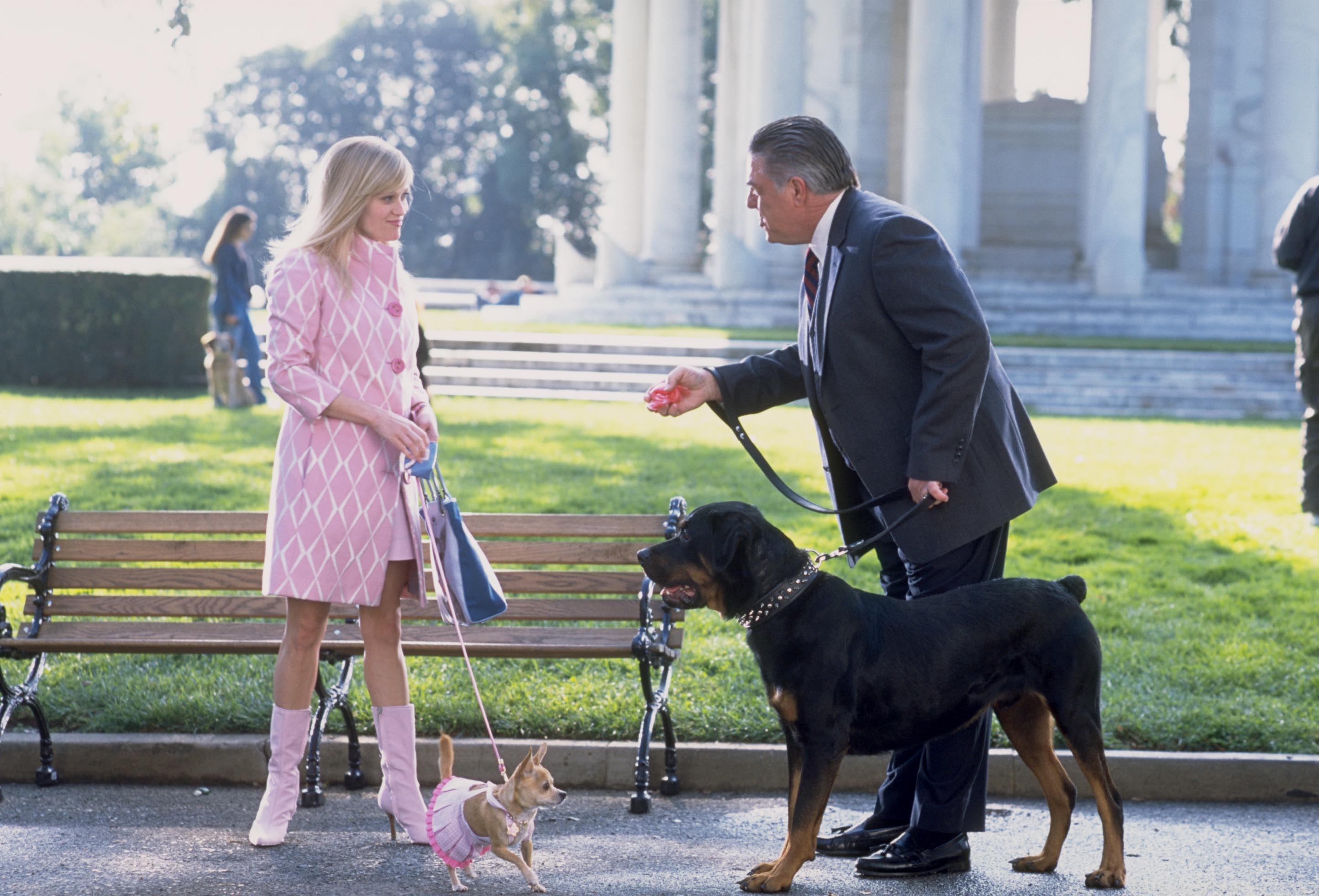 Elle Woods (Reese Witherspoon) and her dinky Chihuahua, Bruiser, in ‘Legally Blonde’ in 2001