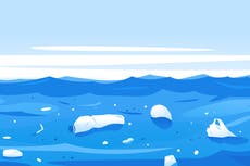 Why is there so much plastic in the ocean? 