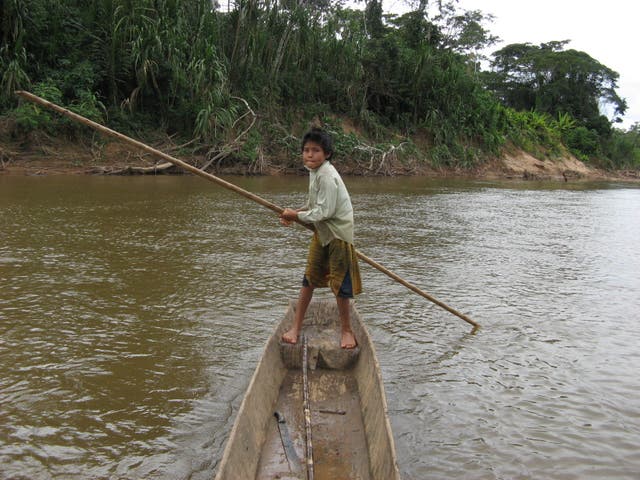<p>Bolivia’s Tsimane people have highly active lifestyles</p>