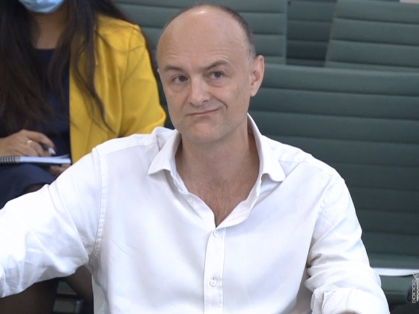 Cummings giving evidence to the joint select committee on Wednesday