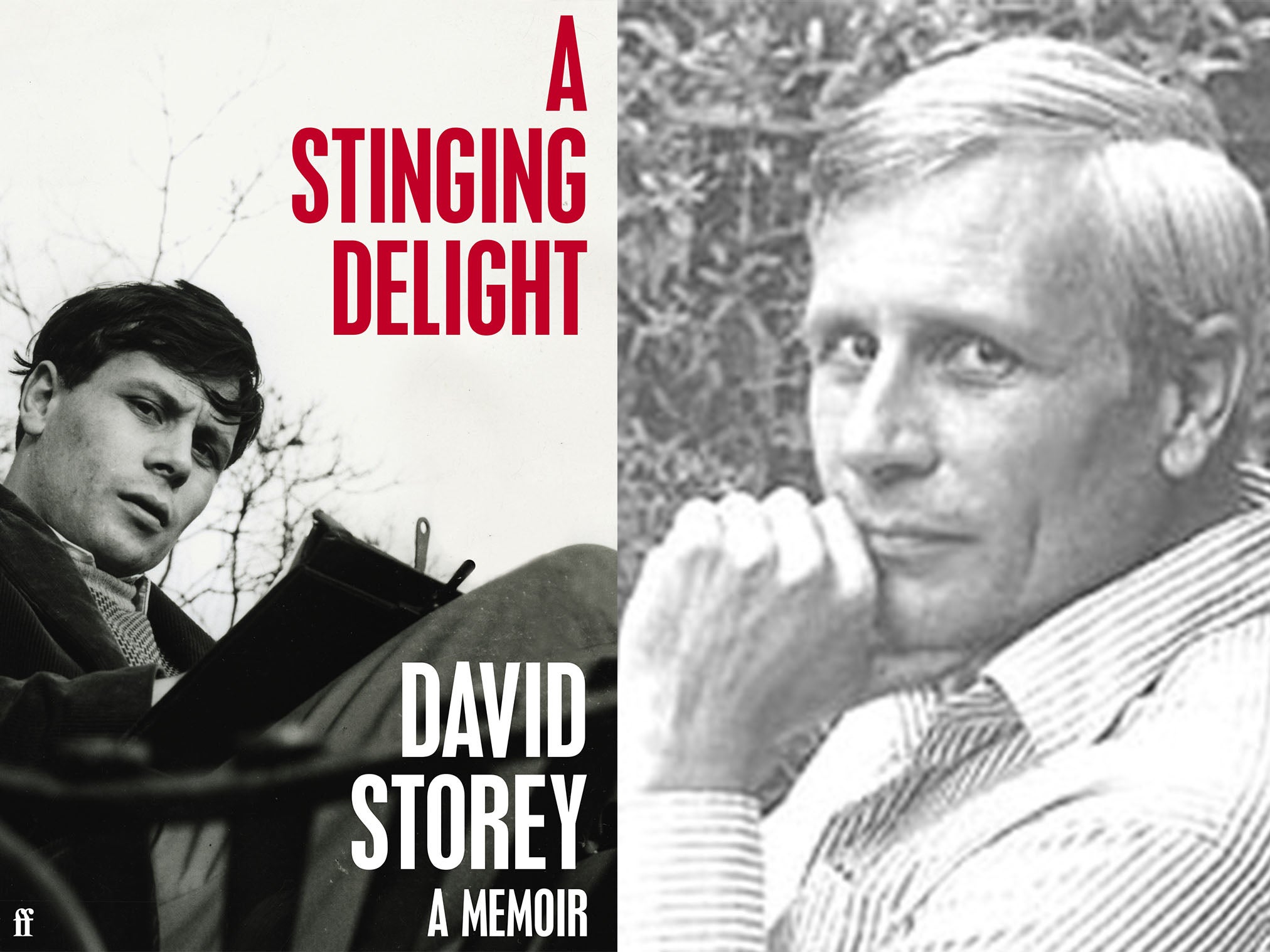 David Storey’s posthumous memoir ‘A Stinging Delight’ is deeply moving with bags of humour, eccentricity, and wisdom