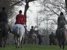 Video evidence of foxhunt not enough to prosecute, say police