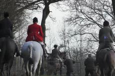Video evidence of foxhunt not enough to prosecute, say police