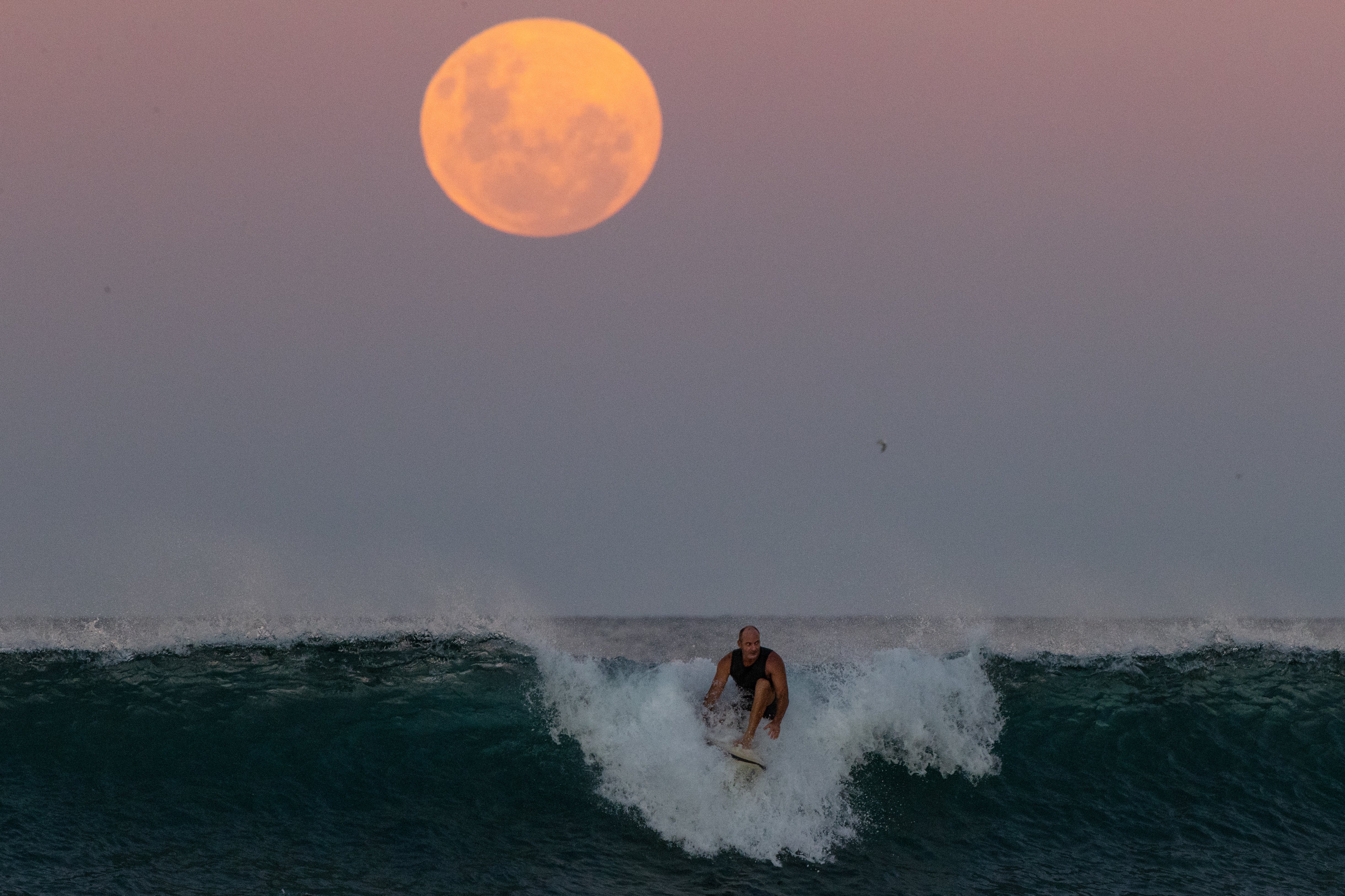 A surfer rides a wave as a super blood moon rises above the horizon at Manly Beach, Sydney on 26 May, 2021