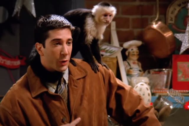 <p>Here’s what Marcel the Monkey’s been up to since Friends</p>