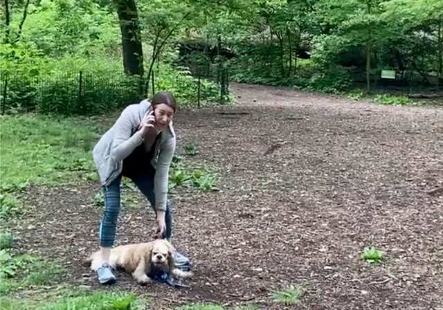 <p>FILE - This May 25, 2020, file image, taken from video provided by Christian Cooper, shows Amy Cooper with her dog calling police at Central Park in New York. Amy Cooper, the white woman who called 911 on Black birdwatcher Christian Cooper in the park, is suing her former employer for firing her over the incident. </p>