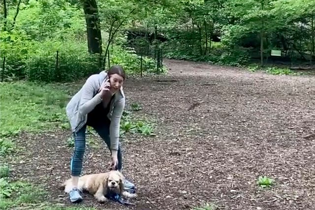 <p>FILE - This May 25, 2020, file image, taken from video provided by Christian Cooper, shows Amy Cooper with her dog calling police at Central Park in New York. Amy Cooper, the white woman who called 911 on Black birdwatcher Christian Cooper in the park, is suing her former employer for firing her over the incident. </p>