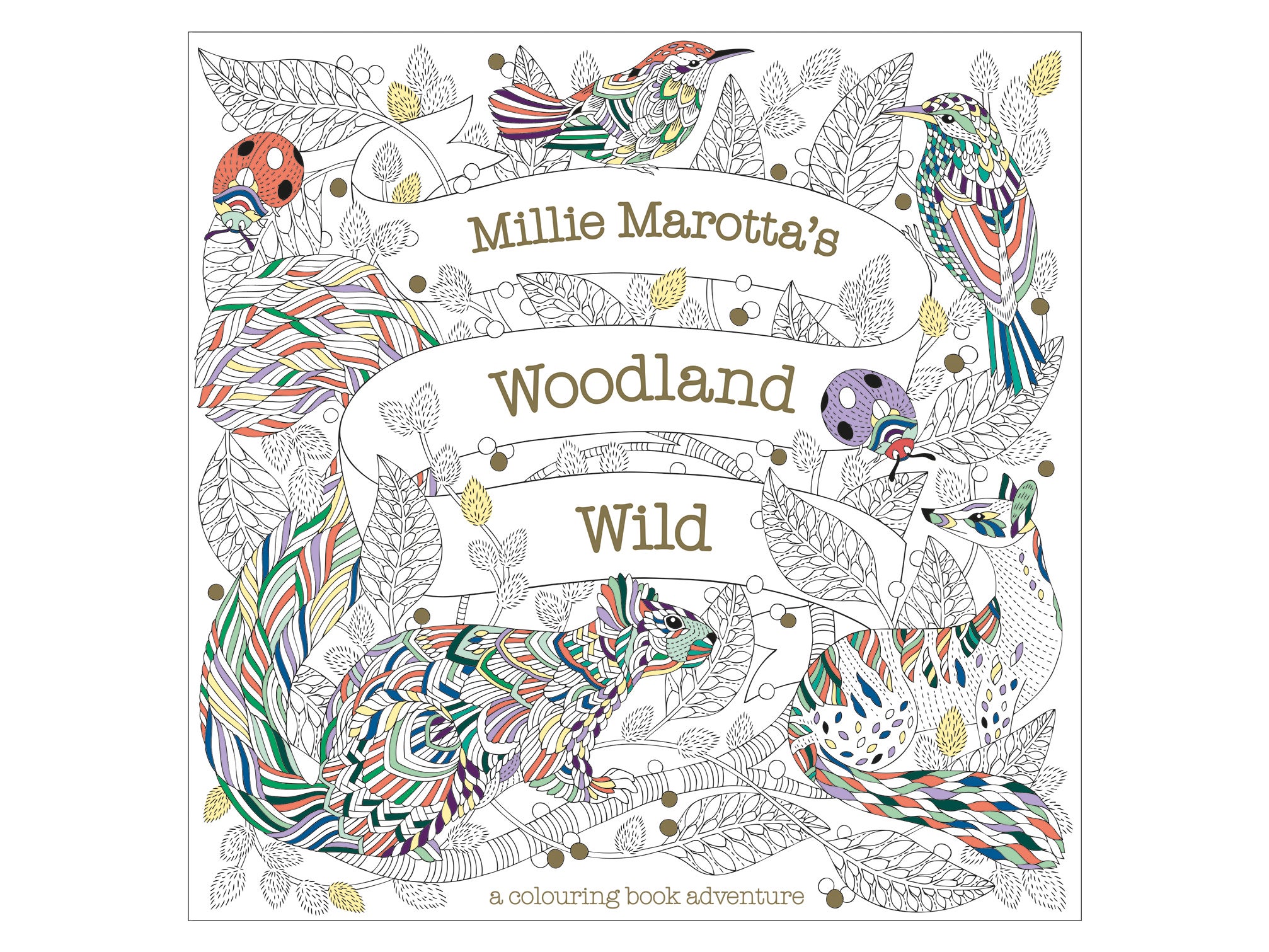 Millie Marotta’s Woodland Wild .jpg