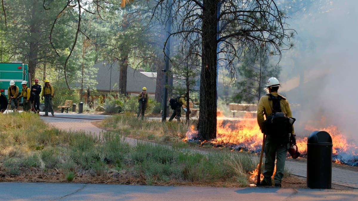 'Nothing looks good' preparing for summer wildfire season