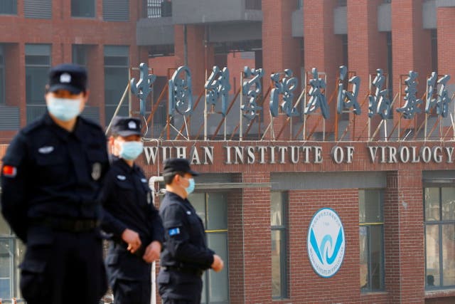 <p>The Wuhan Institute of Virology is a global centre for coronavirus research</p>