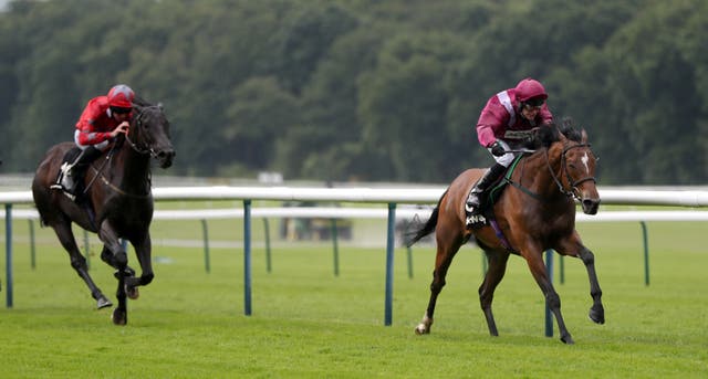 Safe Voyage bids to win the Betway John of Gaunt Stakes at Haydock for a second time