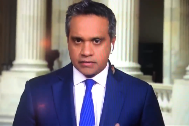 <p>Cicada greeted this CNN correspondent while doing a piece to camera</p>