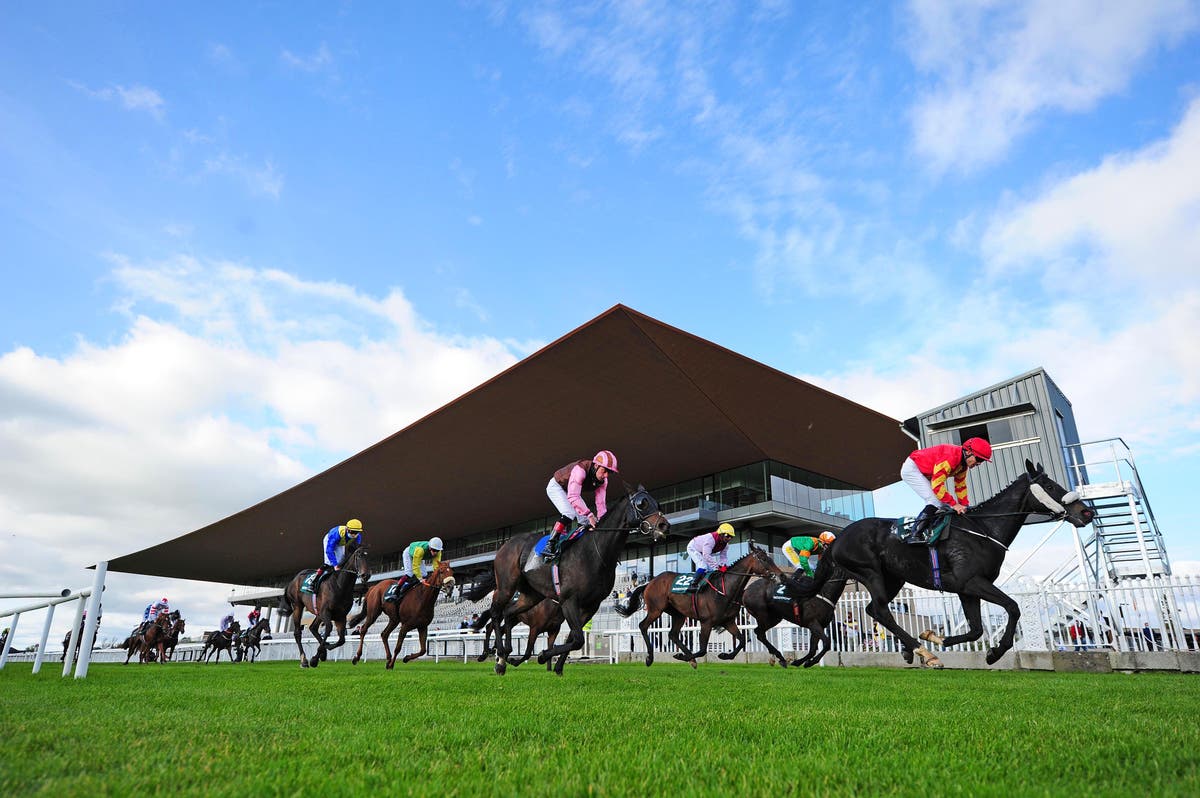 Crowd to return during Irish Derby meeting