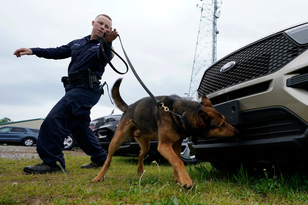 Marijuana legalization prompting police K-9 retirements Marijuana legalization prompting police K-9 retirements