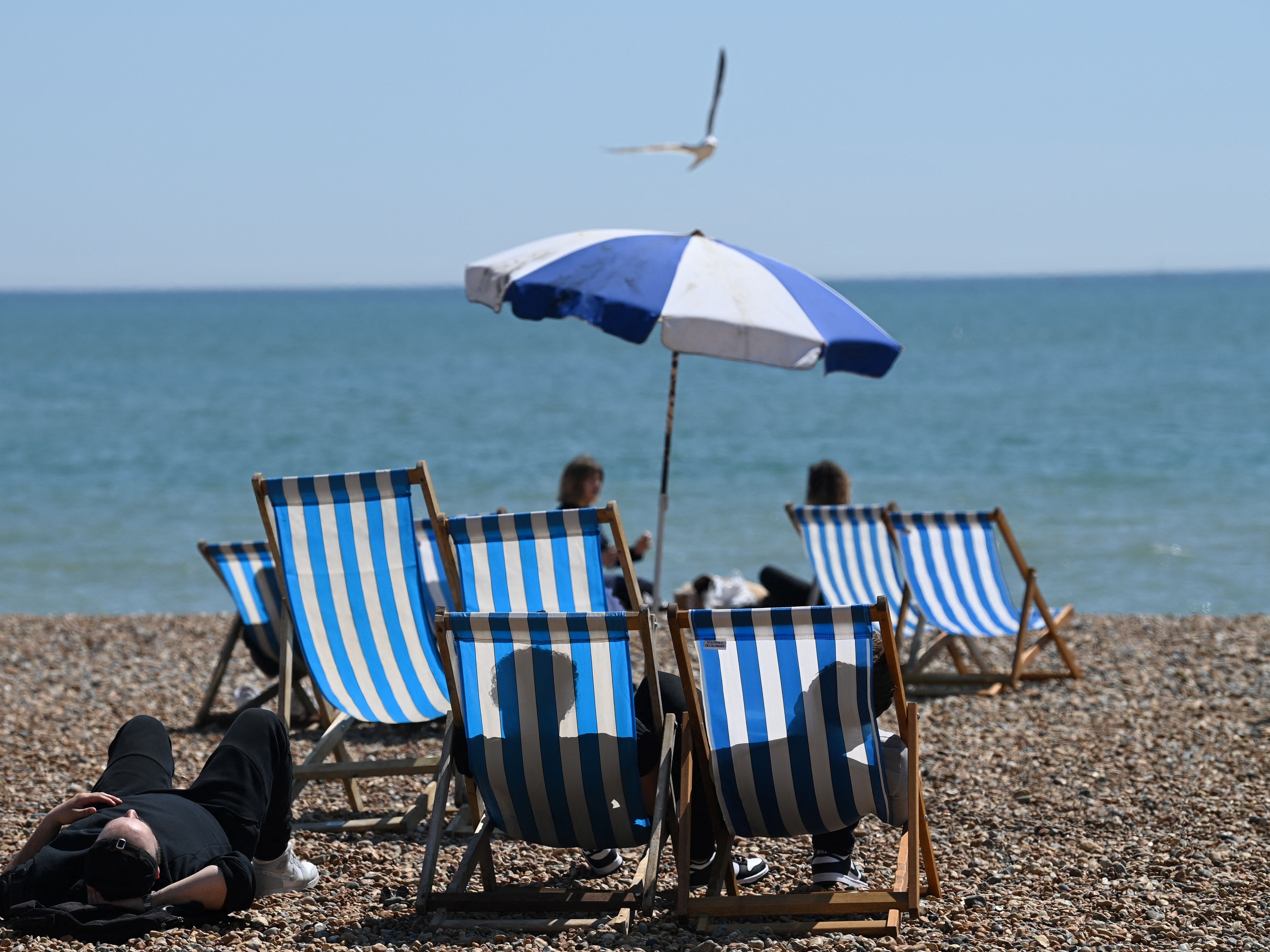 <p>People sit in deckchairs looking out onto the channel on Brighton</p>