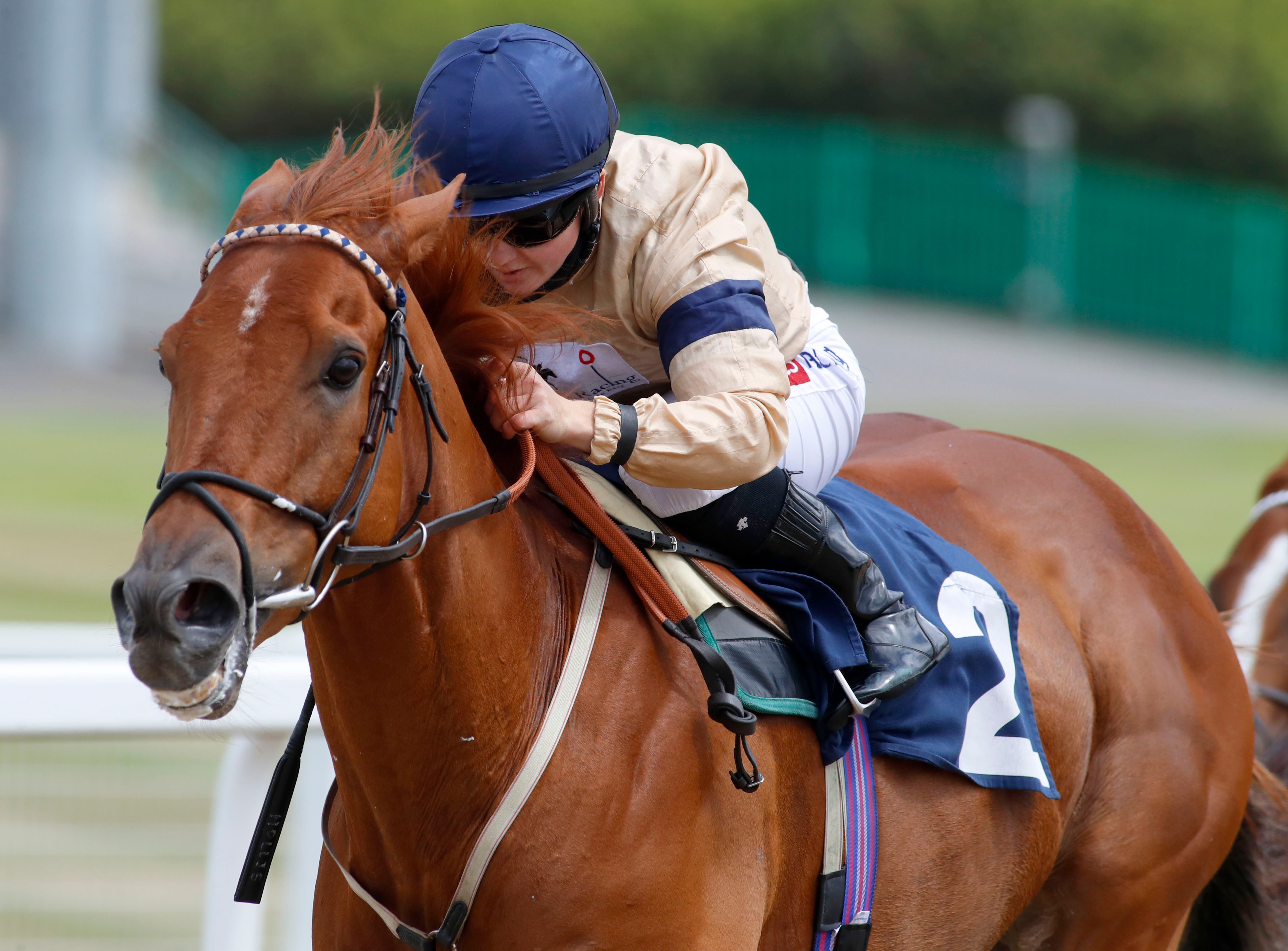 Glen Shiel is heading for Royal Ascot