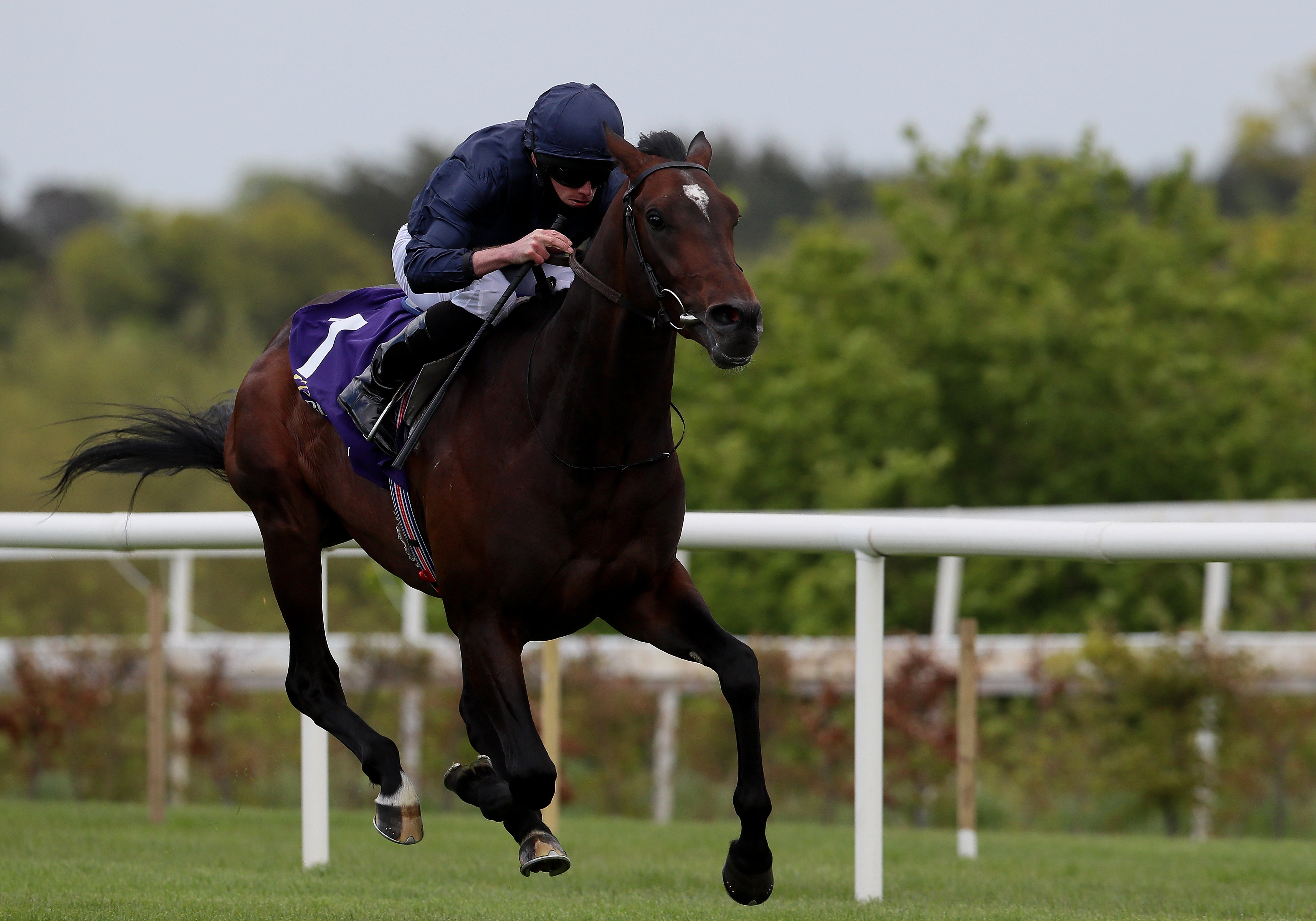 Bolshoi Ballet is the ante-post favourite for the Derby