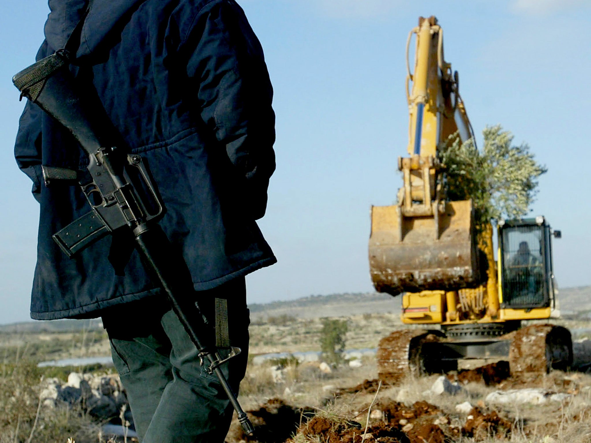 An armed Israeli stands guard as a hydraulic excavator uproots olive trees from a Palestinian property between the West Bank village of Jayyous and the nearby Israeli settlement of Zufim