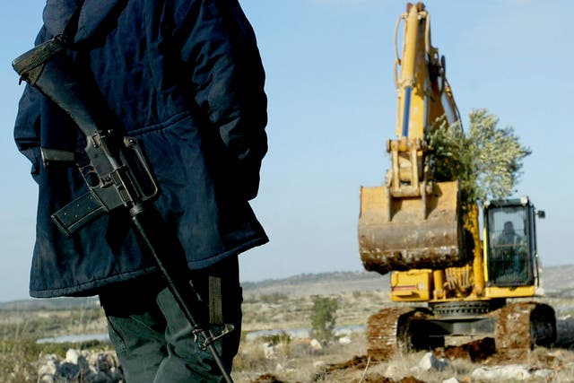 <p>An armed Israeli stands guard as a hydraulic excavator uproots olive trees from a Palestinian property between the West Bank village of Jayyous and the nearby Israeli settlement of Zufim</p>