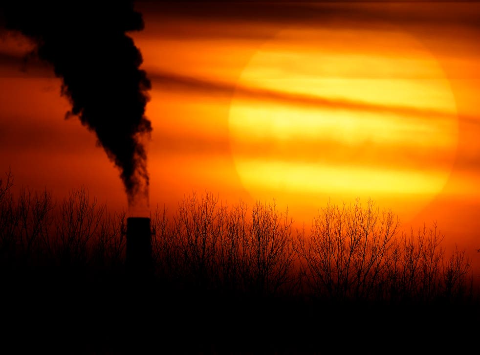 CAMBIO CLIMATICO