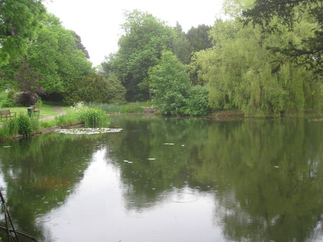 <p>The boy was found at Swanwick Lakes, near Fareham</p>