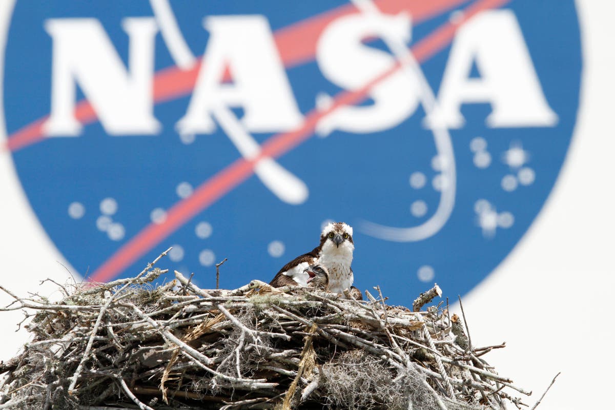 New Zealand latest nation to sign space agreement with NASA